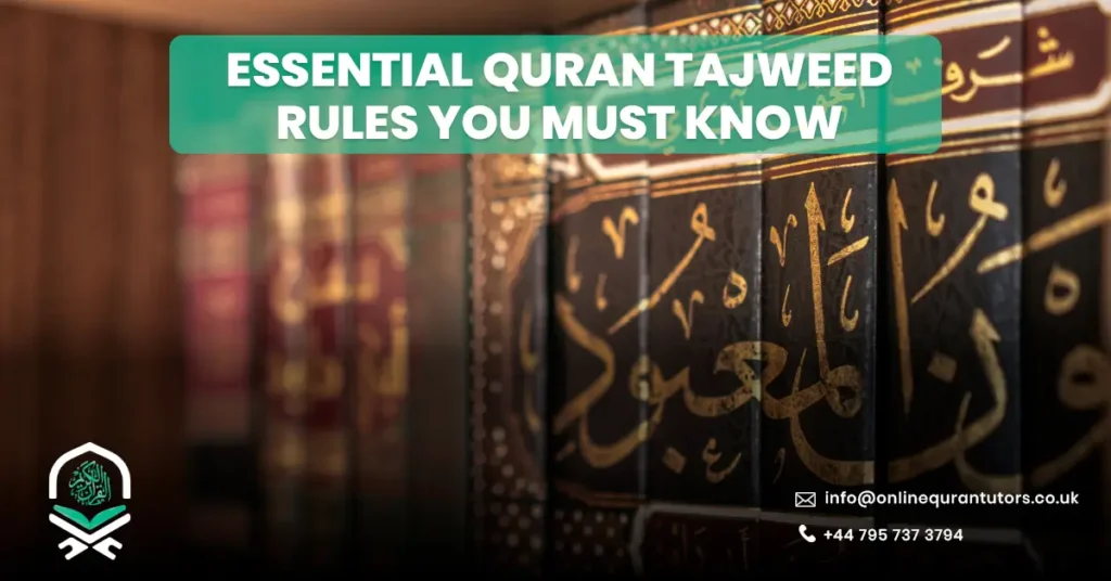Essential Quran Tajweed Rules You Must Know